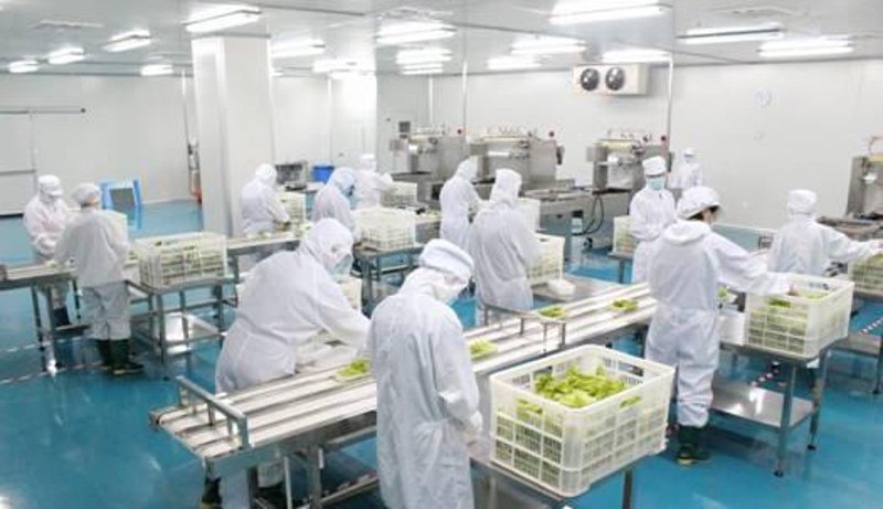 未来趋势：发记双喜餐饮管理有限公司如何引领行业变革